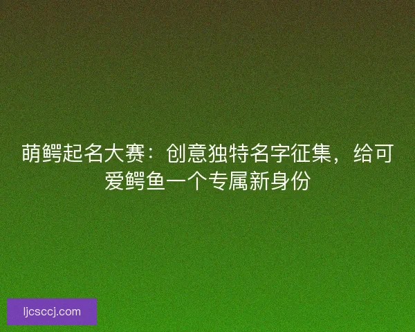萌鳄起名大赛：创意独特名字征集，给可爱鳄鱼一个专属新身份