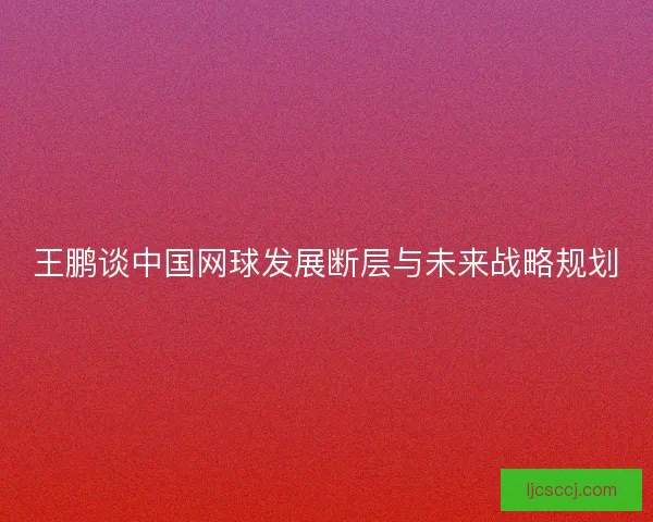 王鹏谈中国网球发展断层与未来战略规划